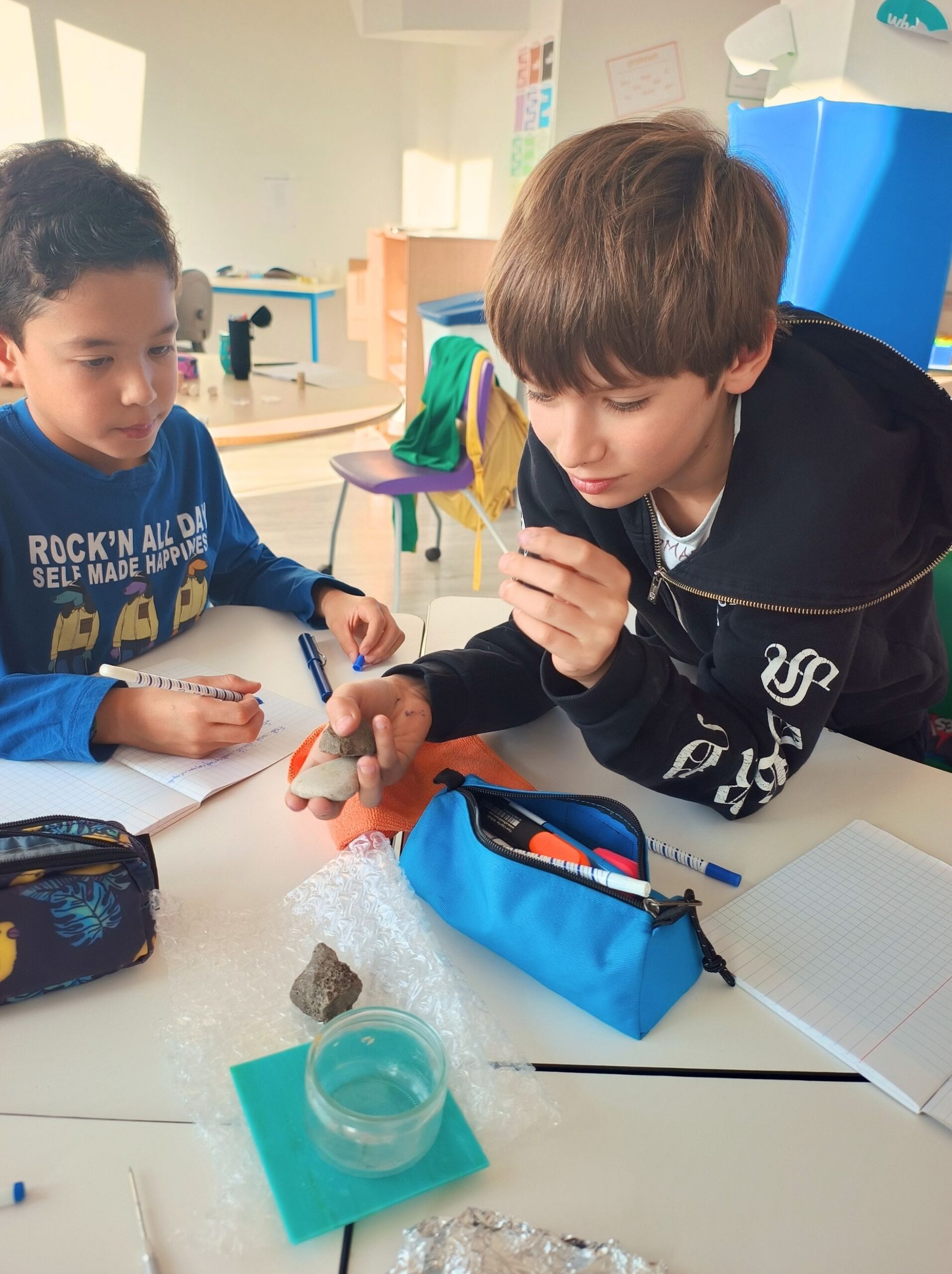 SVT apprentissage de la vie et de la terre bilingue - Lennen Bilingual School